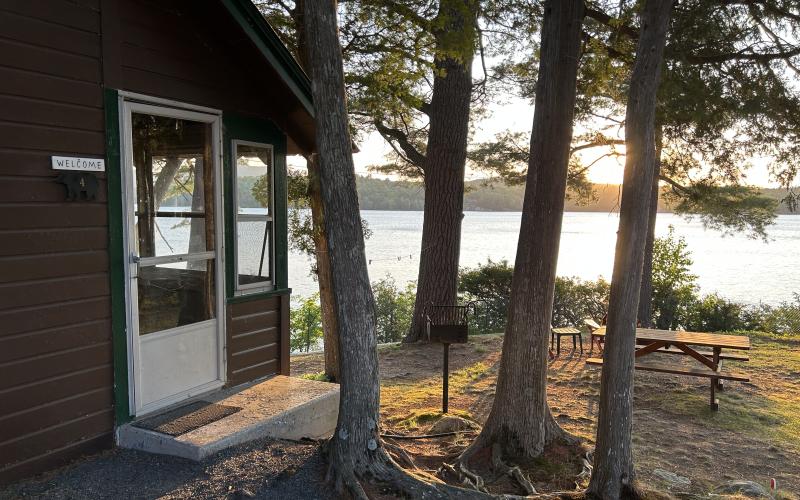 lakeside cabin view through the trees