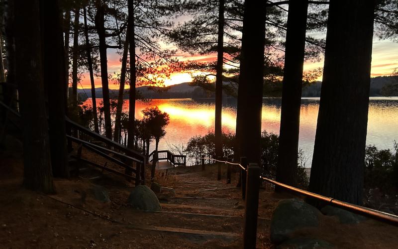 warm sunset glows over the lake through the trees