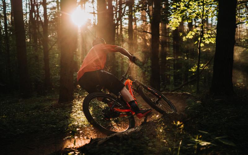 A mountain bike cutting through trees at last light