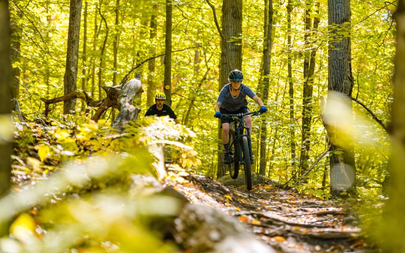 Mountain bikers in the woods