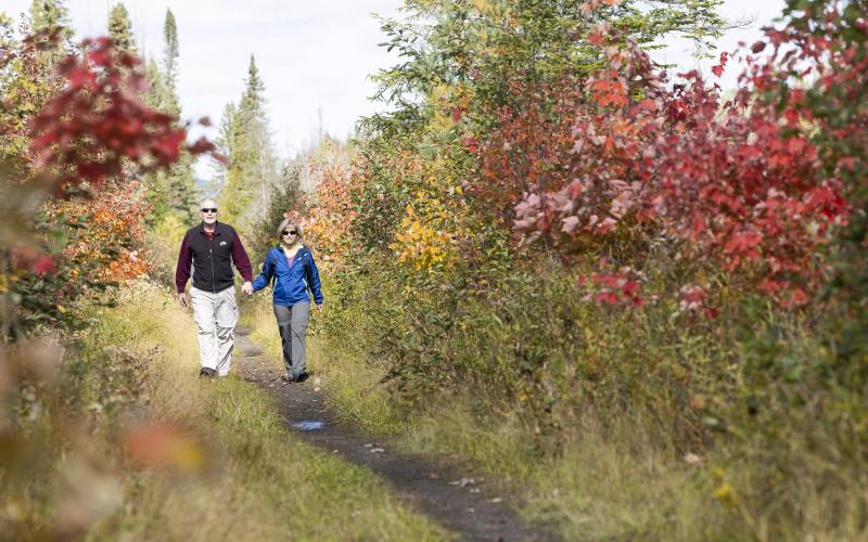 An older ccouple walking on the Bloomingdale Bog trail in the fall