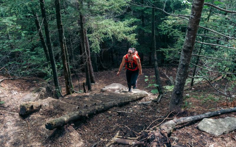 Hiker walks up wooden ladder on forested trail