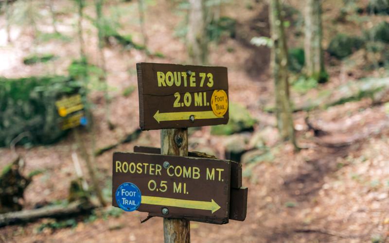 Brown and yellow direction trail signs with trail markers