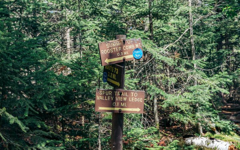 Brown and yellow trail signs at junction