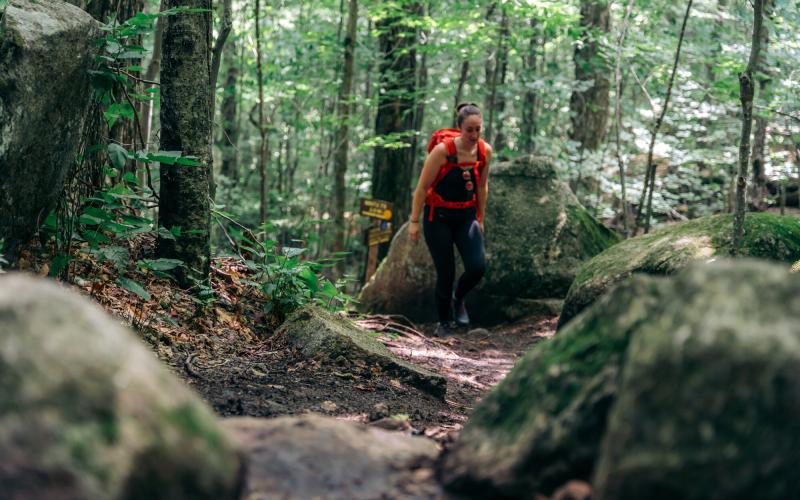 Hiker walks on forested trail