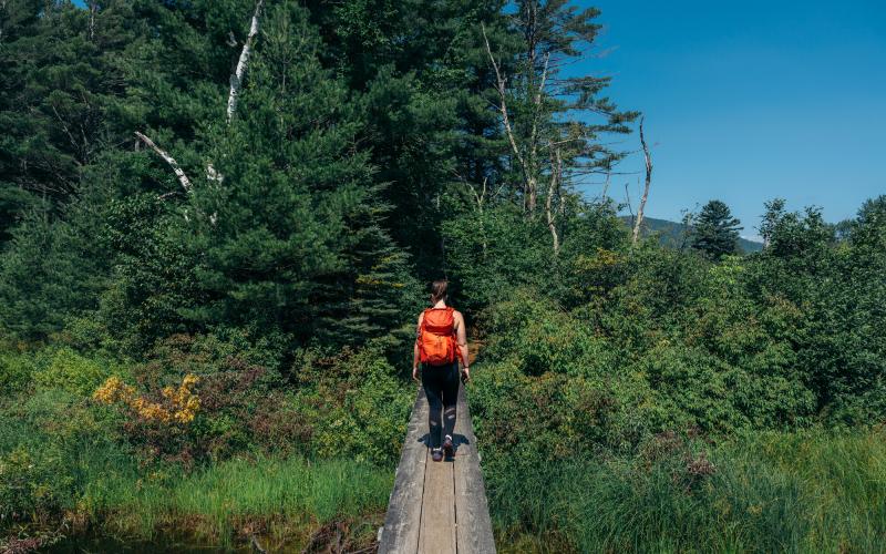 Hiker with red backpack walks on boardwalk over wetland