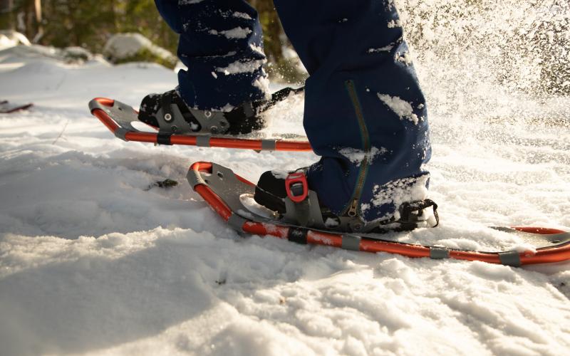 This is a fine place to try a snowshoe climb.