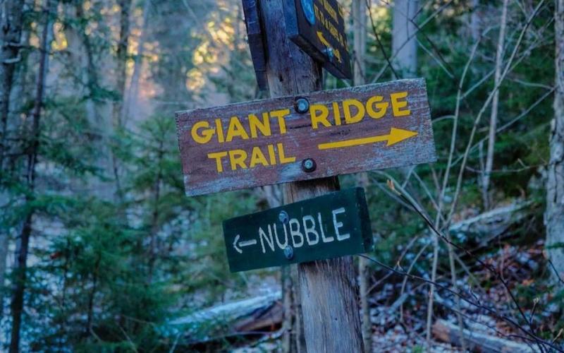 Giant Mountain | Lake Placid, Adirondacks