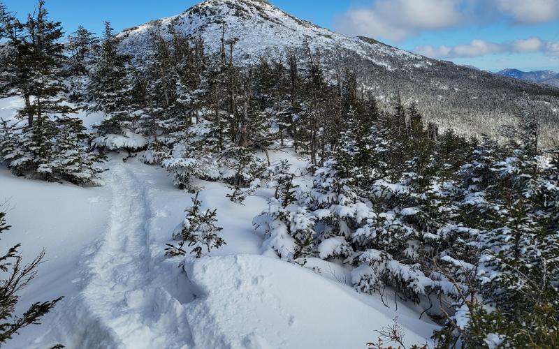 A snowshoe track leads to a summit with a view