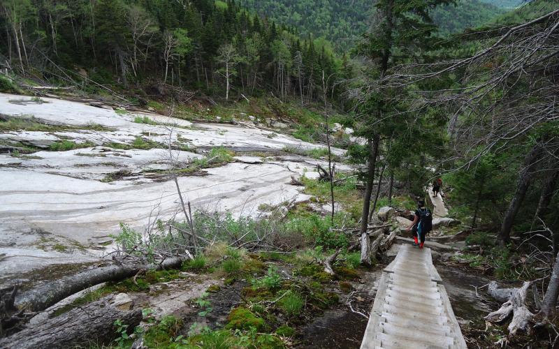 Walking up a long set of wooden stairs on a mountain