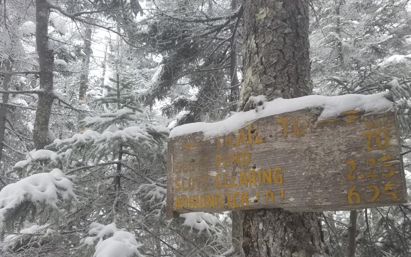 A trail sign for Scott Pond