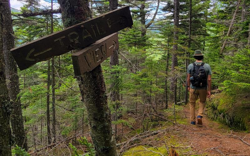 A hiker in front of a couple wooden signs