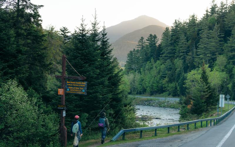 Two fly fishers walk towards a roadside river