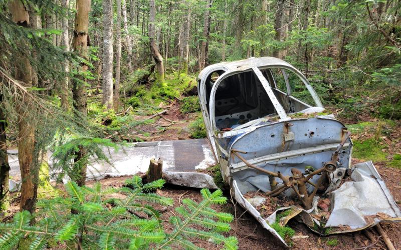 A small plane wrecked in the woods