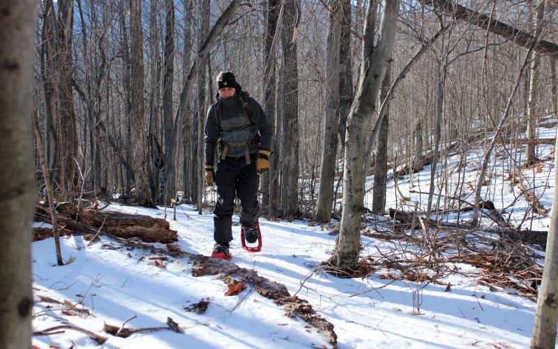 A snowshoer on a trail