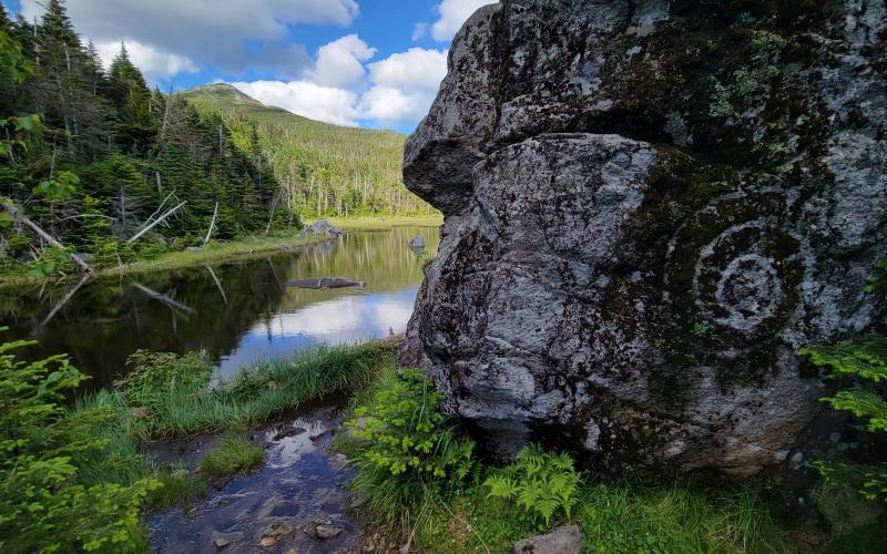 A swirled lichen formation on a rock next to a mountain pond