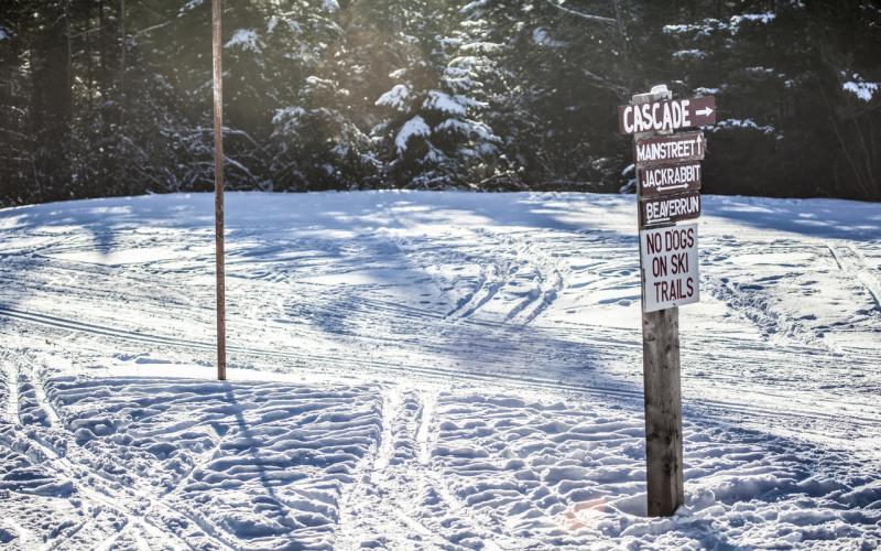 The start of a few xc ski trails.