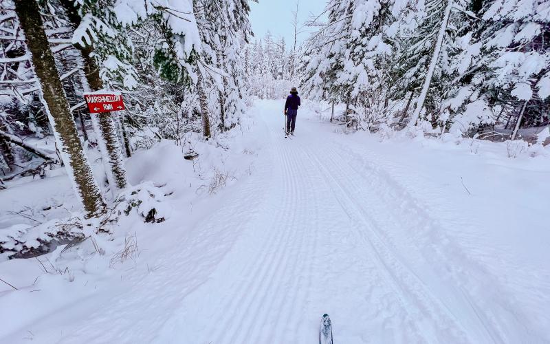 First person of someone skiing on xc trails