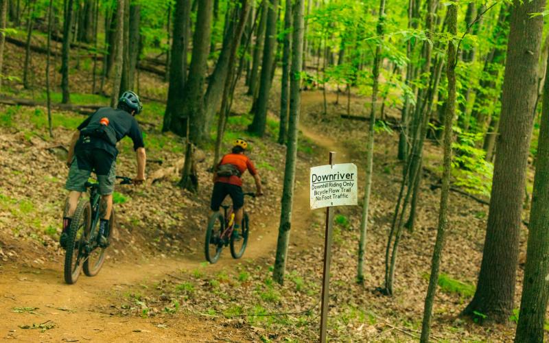 Two mountain bikers enter a trail system