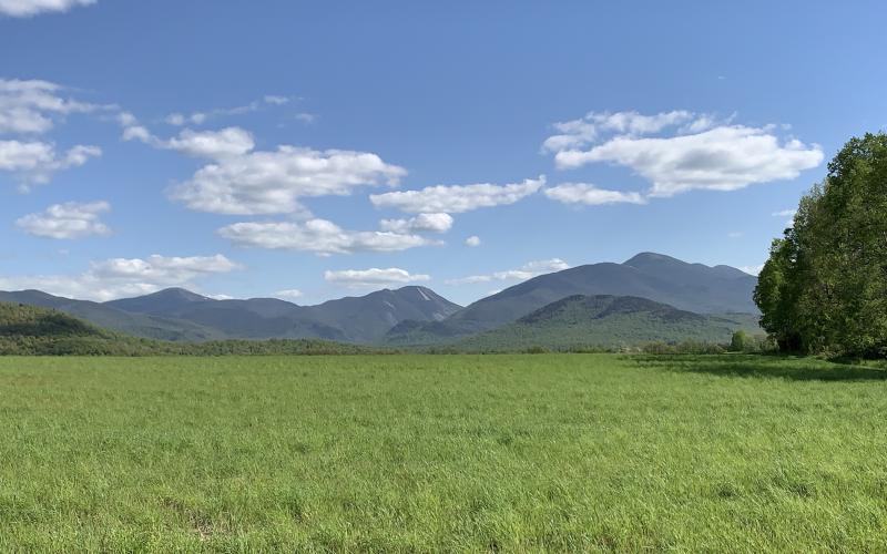 Mountain meadow with high peaks backdrop